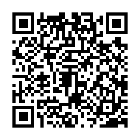 QR code for 3T06333