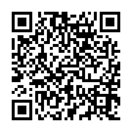 QR code for 3T6Q509