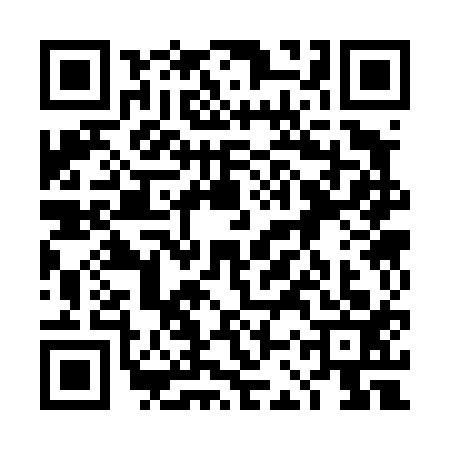 QR code for 4CS4133