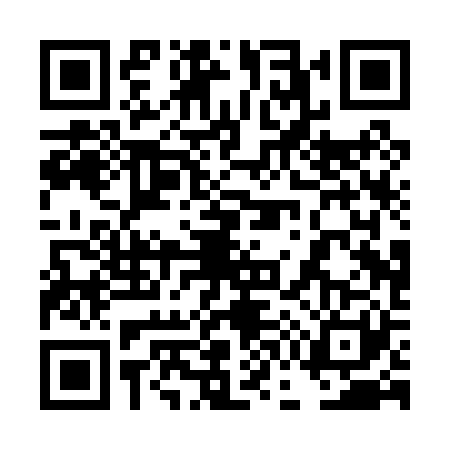 QR code for 4G0P219