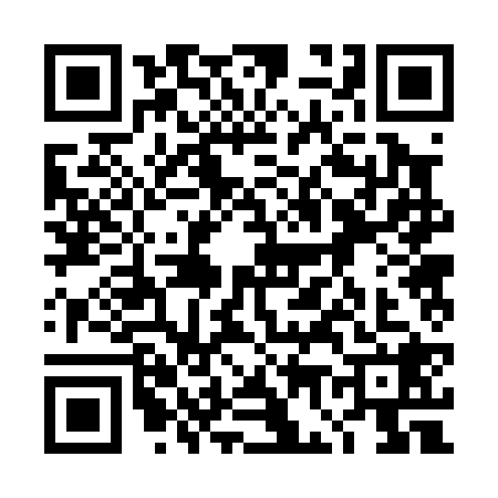 QR code for 4G20287