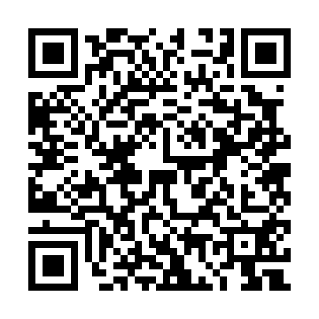 QR code for 4G20503