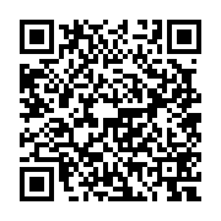QR code for 4G20596