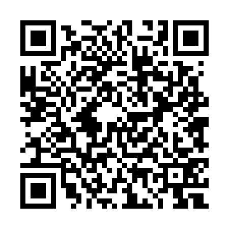 QR code for 4G47737