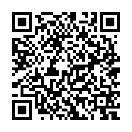 QR code for 4G56641