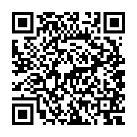QR code for 4G66412