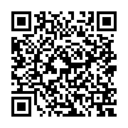 QR code for 4G95629