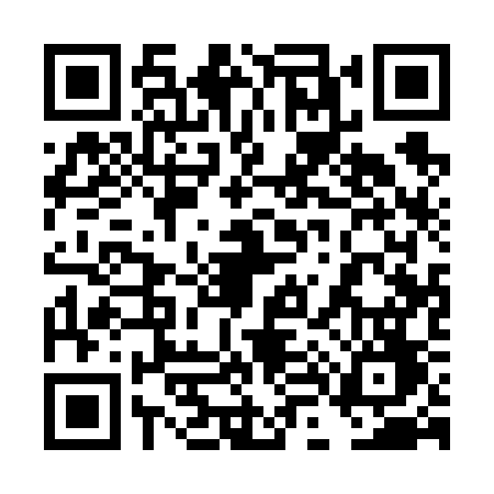 QR code for 4L163FF