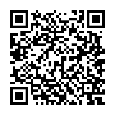 QR code for 4LN4065
