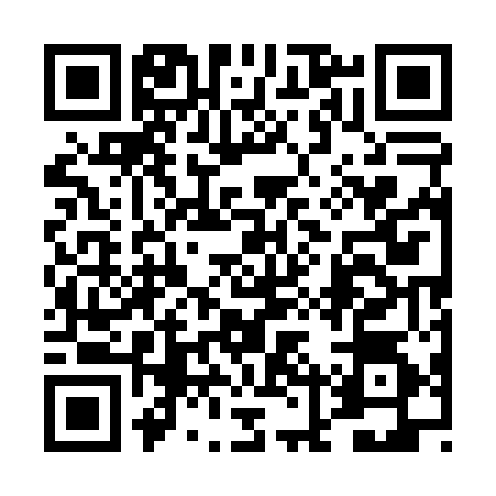 QR code for 4LU0541