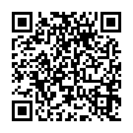 QR code for 4O3I538