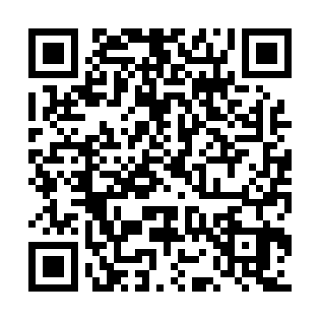QR code for 4O3P238