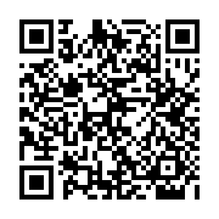 QR code for 4O5383P
