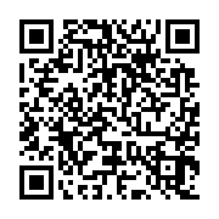 QR code for 4O6S439
