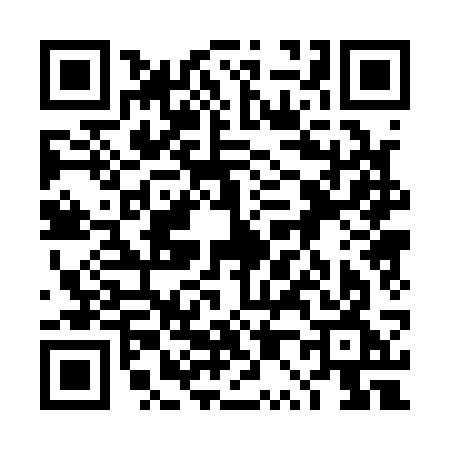 QR code for 4P013GN
