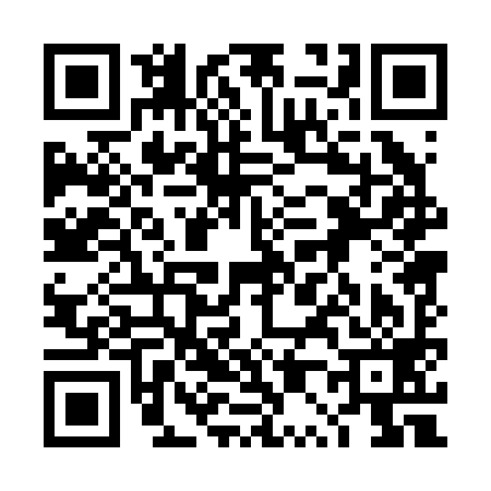 QR code for 4P0299K