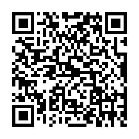 QR code for 4P0310N