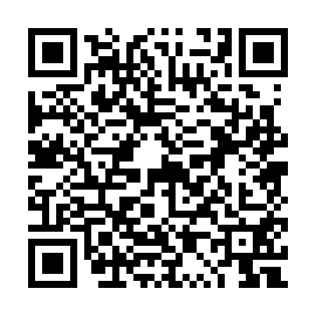 QR code for 4P03504
