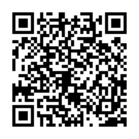 QR code for 4P0463V