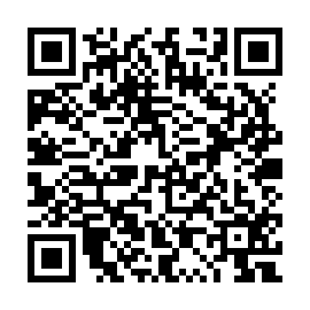 QR code for 4P0Z166
