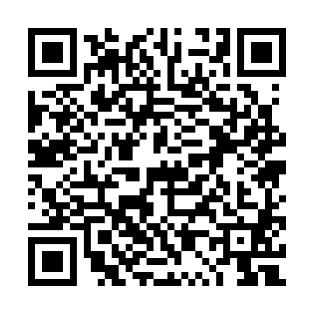 QR code for 4P13806