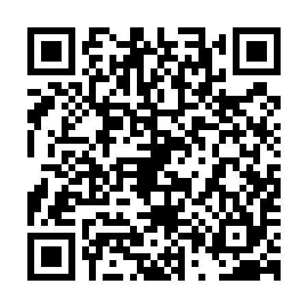 QR code for 4P1594Q