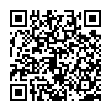 QR code for 4P1634N