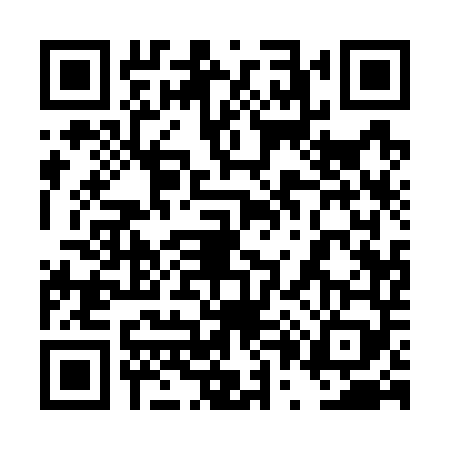 QR code for 4P17495