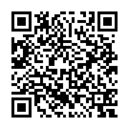 QR code for 4P1G329