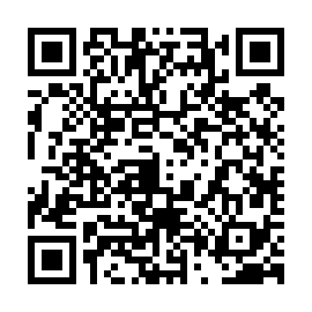 QR code for 4P2479S