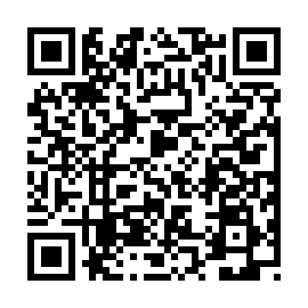 QR code for 4P2598X