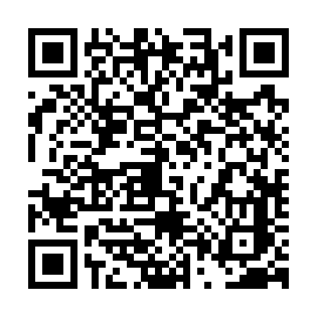 QR code for 4P276CA