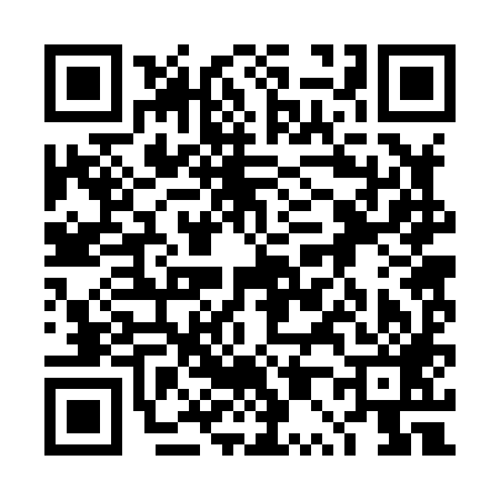 QR code for 4P2889F
