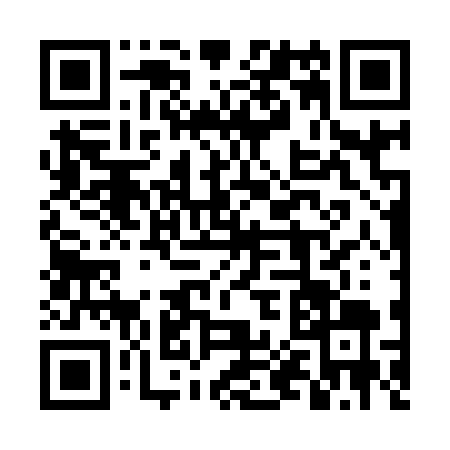 QR code for 4P2969M