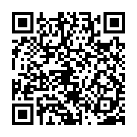 QR code for 4P2C995