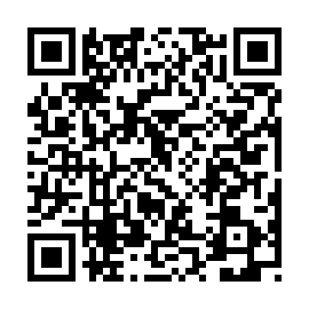 QR code for 4P2O038