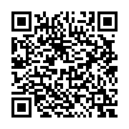 QR code for 4P303MZ