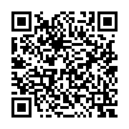 QR code for 4P316ZT