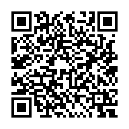 QR code for 4P317XE