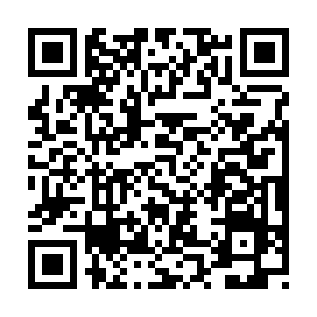QR code for 4P336NP