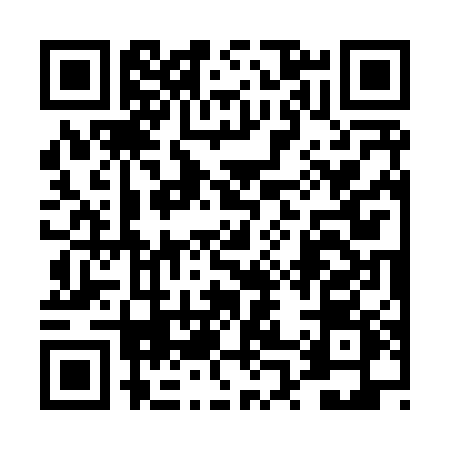 QR code for 4P381ZY