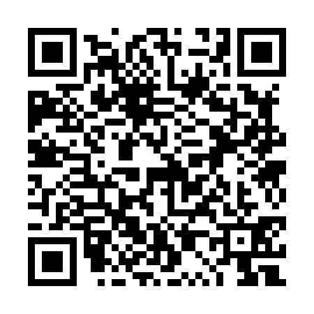 QR code for 4P38313
