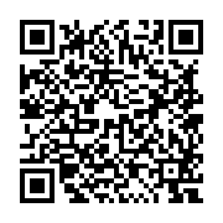 QR code for 4P3882H