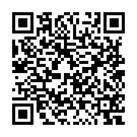 QR code for 4P3954N