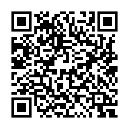 QR code for 4P396AE