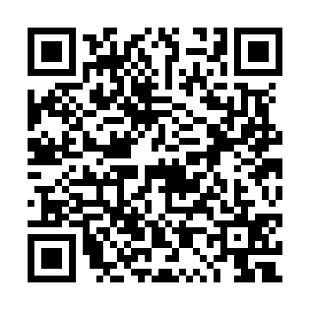 QR code for 4P3N355