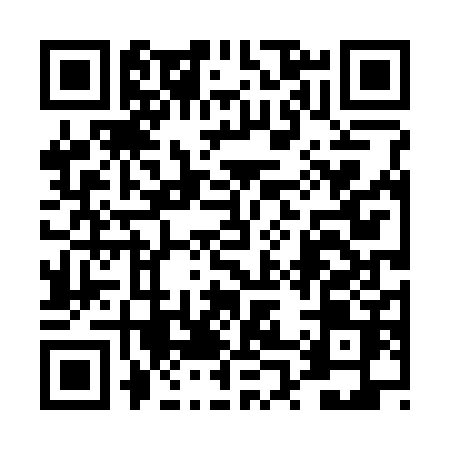 QR code for 4P438AP