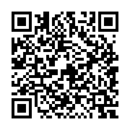 QR code for 4P438LV