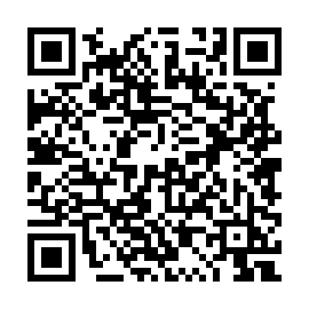 QR code for 4P450JV