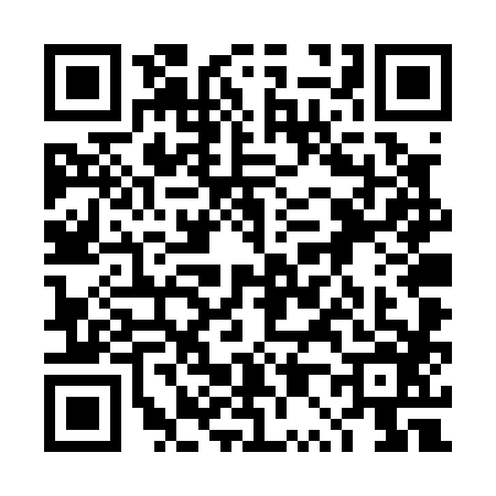 QR code for 4P4P869